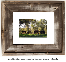 trail rides near me in Forest Park, Illinois